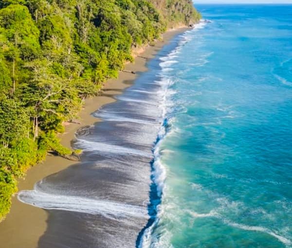 Tropical Rainforests: The Lungs of the Earth