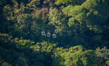 Aerial tramway above lush rainforest canopy.