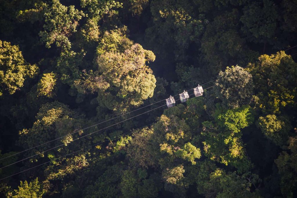 Aerial tram above lush rainforest canopy.