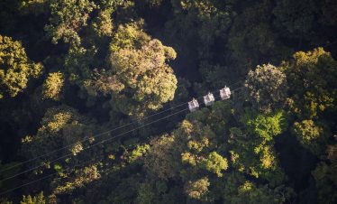 Aerial tram above lush rainforest canopy.