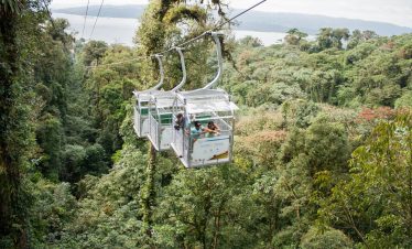 Aerial tram over lush rainforest canopy.