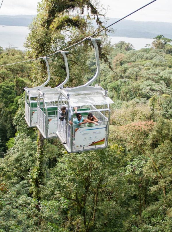 Aerial tram over lush rainforest canopy.