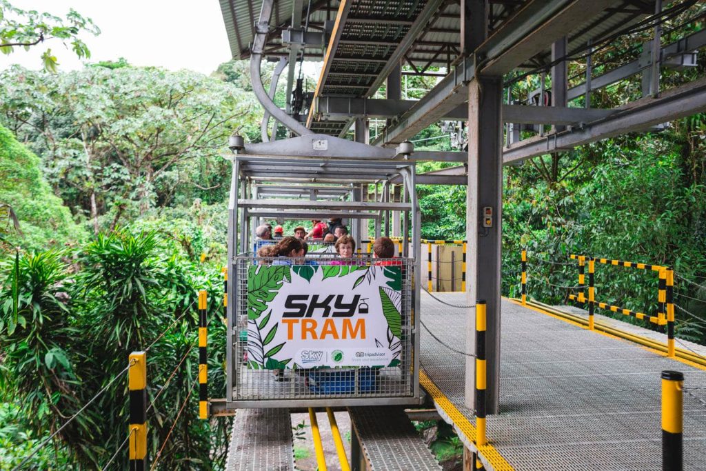 Aerial tram above lush rainforest canopy.