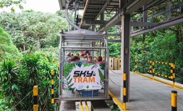 Aerial tram above lush rainforest canopy.