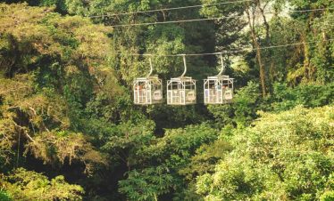 Aerial tram above lush rainforest canopy.
