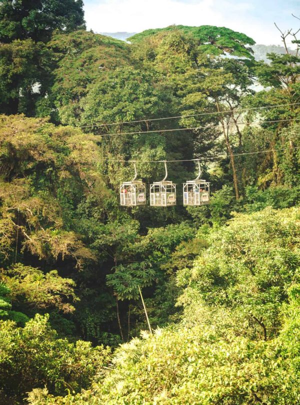 Aerial tram above lush rainforest canopy.