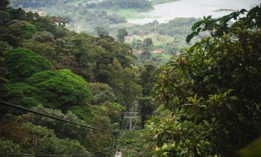 Aerial tram over lush rainforest landscape.