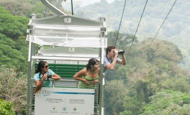Aerial tram over lush rainforest canopy.