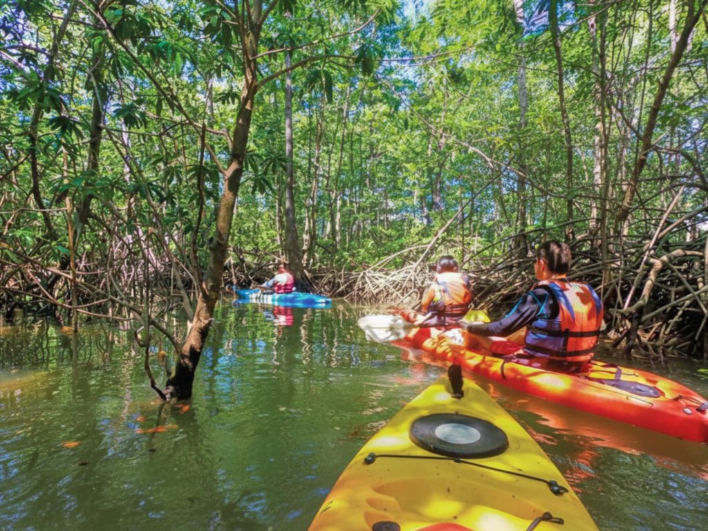 Kayak Waterfall and ATV Adventure