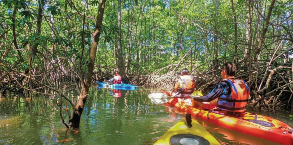 Kayak Waterfall and ATV Adventure