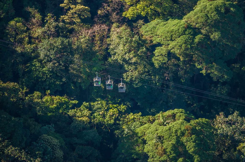 Aerial tramway above lush rainforest canopy.
