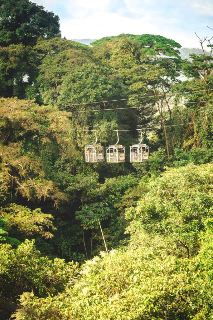 Aerial tram above lush rainforest canopy.