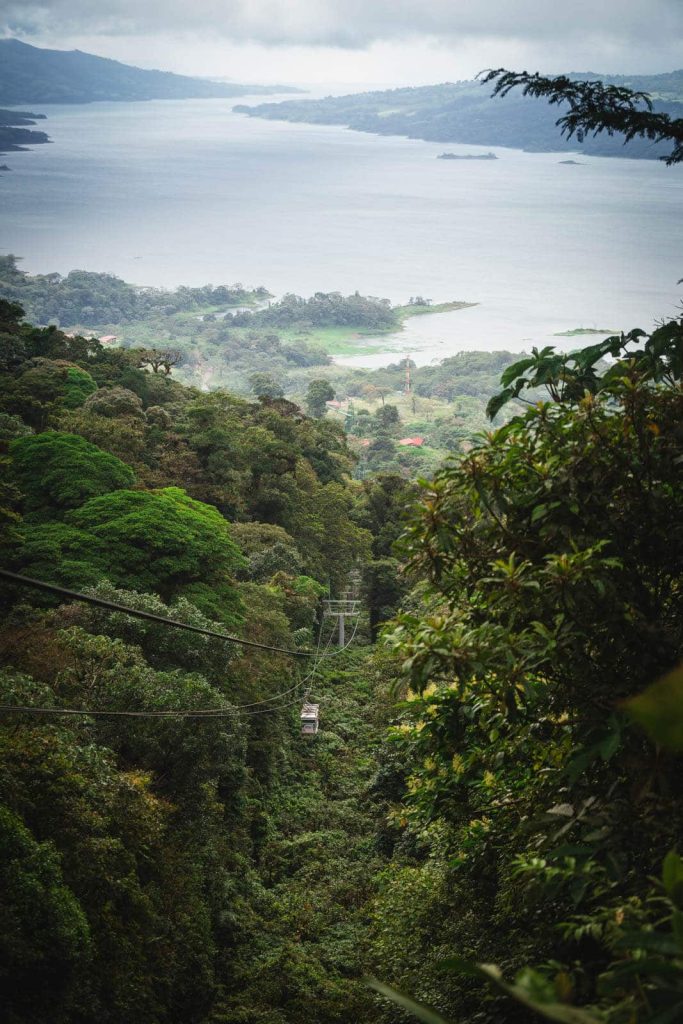 Aerial tram over lush rainforest landscape.