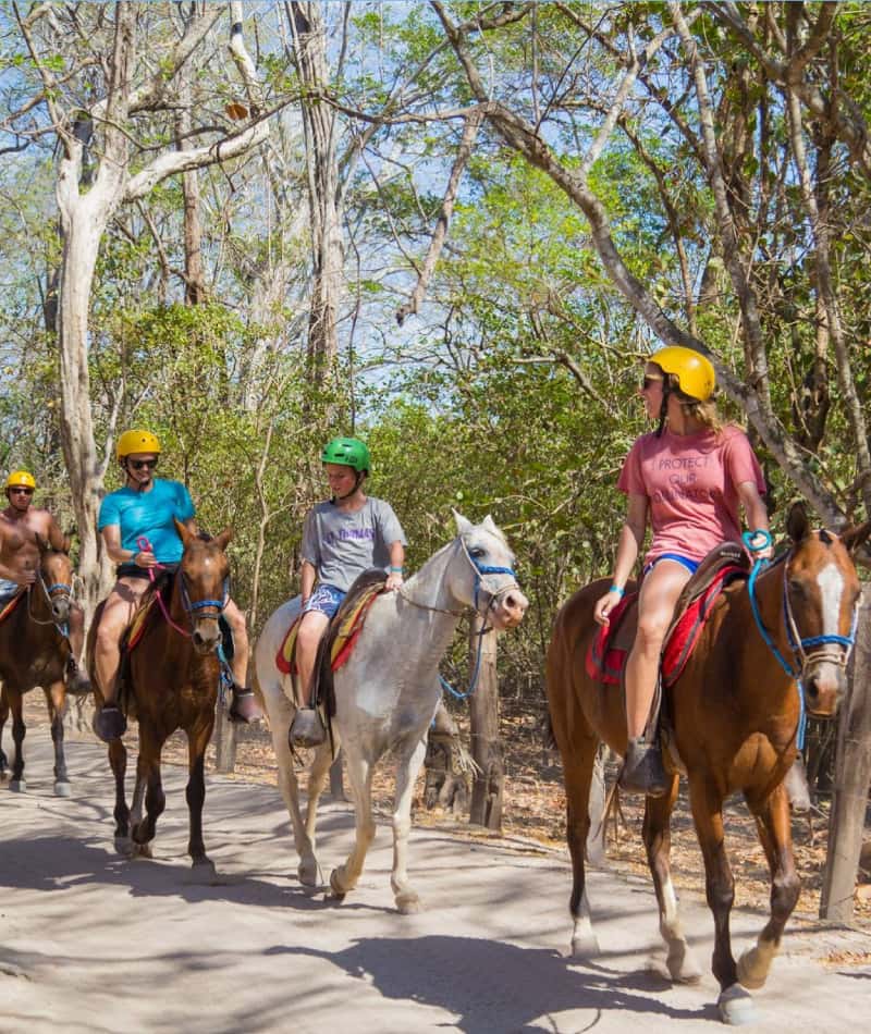 Group riding horses through nature.