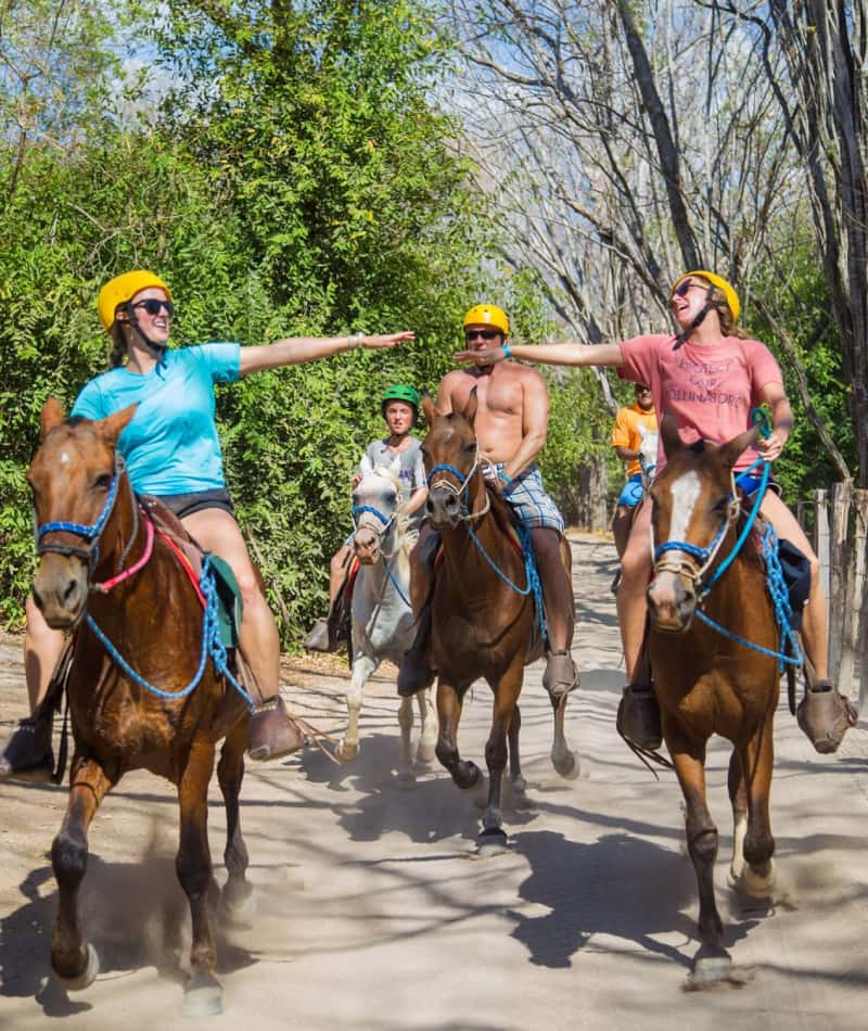 Riders on horseback in nature.