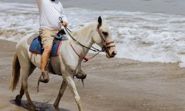 Person riding horse along the beach.